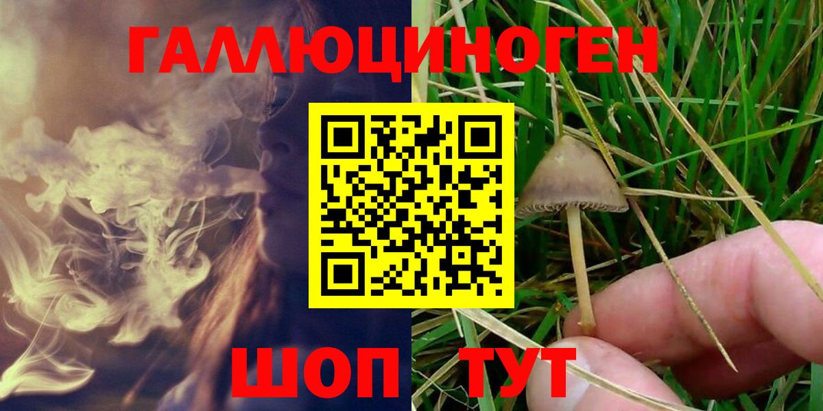 Псилоцибиновые грибы мицелий  Вход с VPN  Луга 
