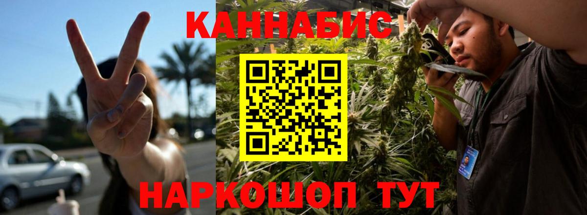 Конопля сатива Луга